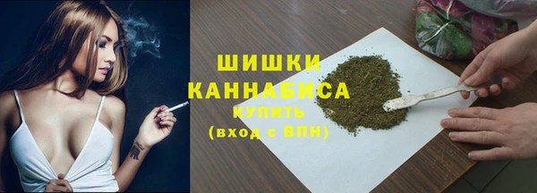 2c-b Гусев