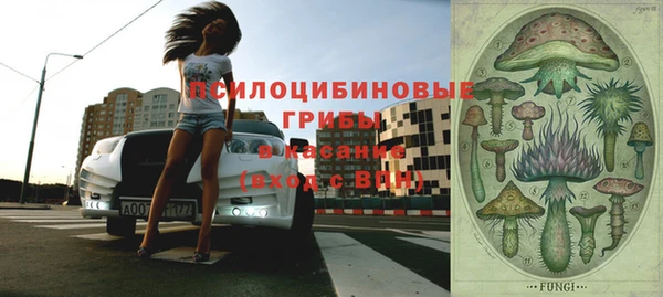 прущая мука Гусь-Хрустальный