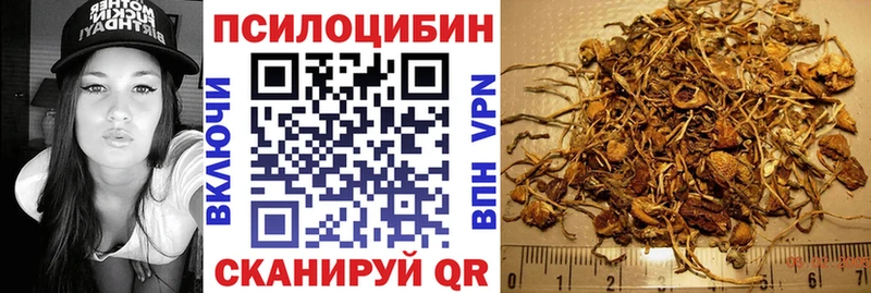 OMG как зайти  Валуйки  Галлюциногенные грибы мицелий 