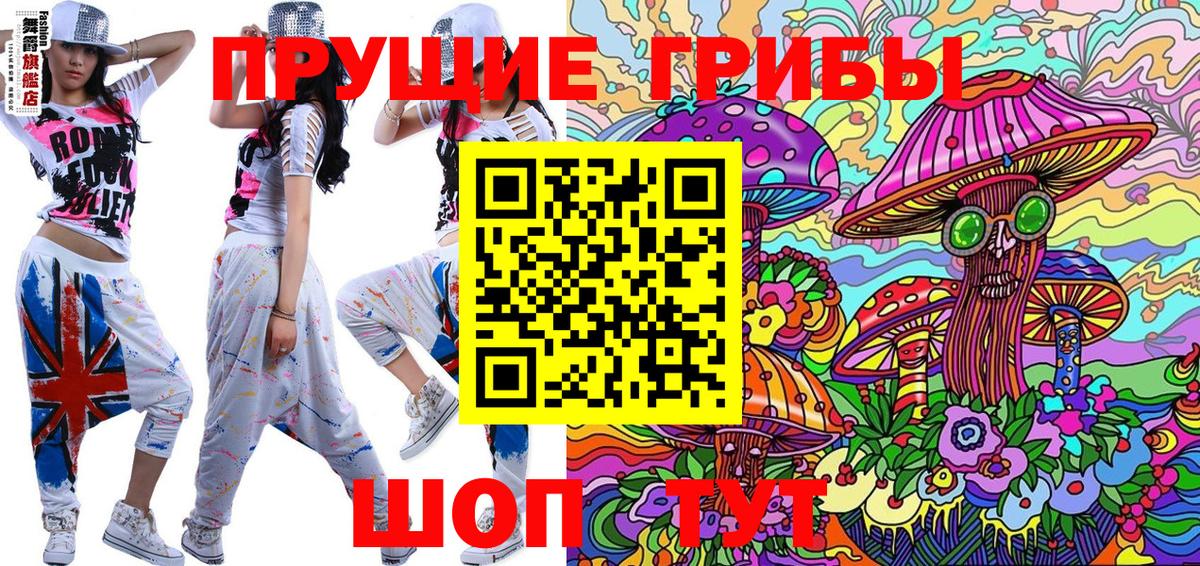 Галлюциногенные грибы Psilocybe Валуйки